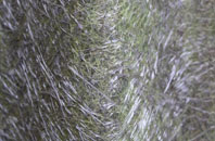 Fancott fibreglass roof work